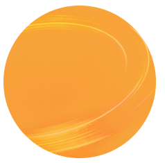 orange circle